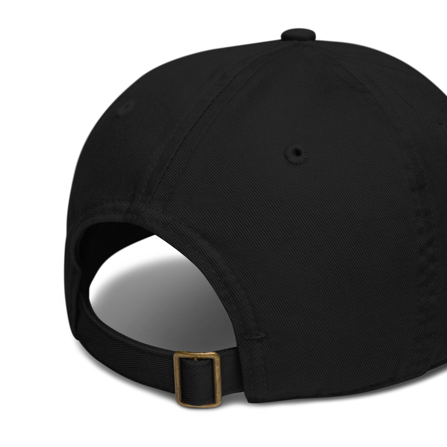 The Blackout Watermelon - Organic dad hat
